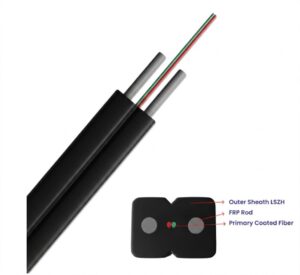 Image-1 (1)