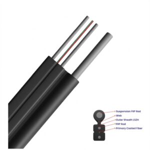Image-2 (2)